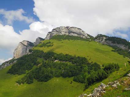 Weiden und Felsen, jpg 15 kb