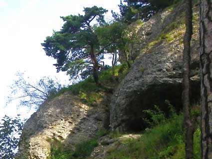 Felsen, jpg 25 kb